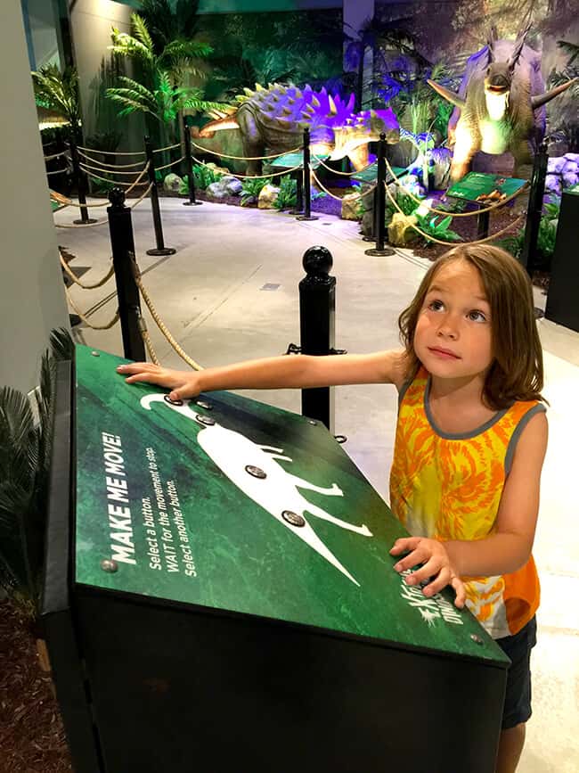 Looking at the Dinosaur Exhibit at Discovery Cube