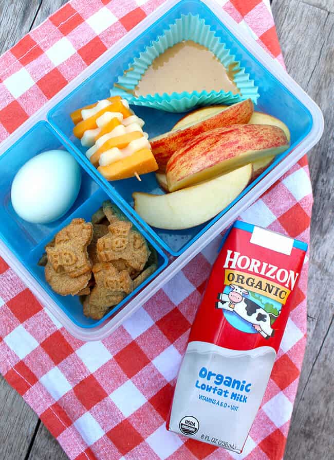 Fun-ideas-for-school-lunches