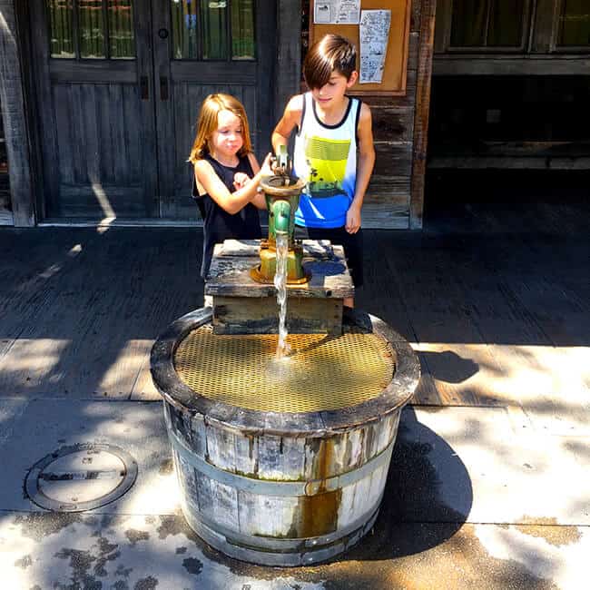 Knott's Water Pump