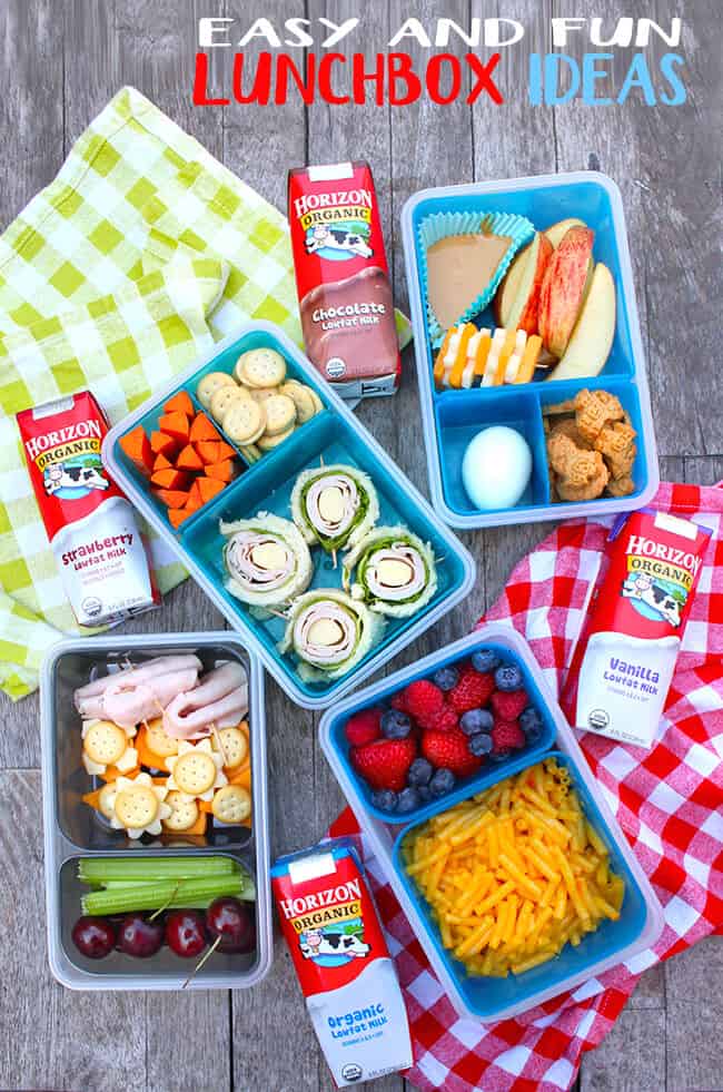 https://www.sandytoesandpopsicles.com/wp-content/uploads/2016/08/easy-and-fun-lunchbox-ideas.jpg