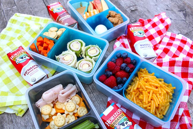 Lunch Made Easy: Horizon Organic Dairy Lunchbox Fun!