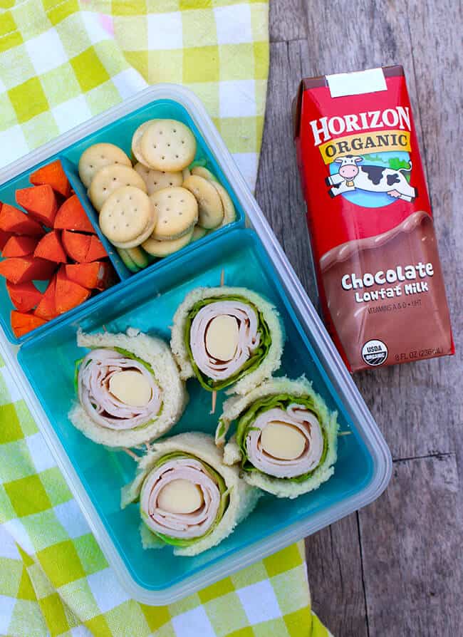 School Snack Box Ideas Your Kids Will Love