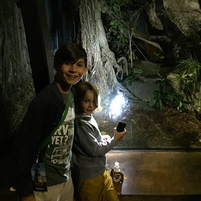 night_scavenger_hunt_at_the_san_diego_zoo