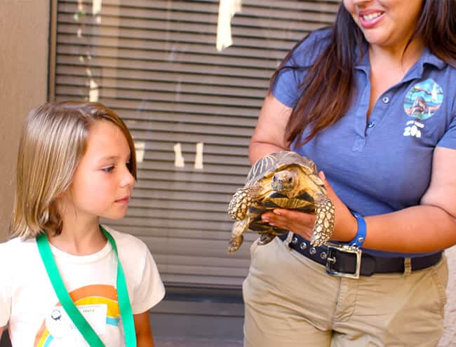 meeting_at_turtle_san_diego_zoo