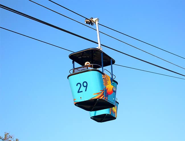 san_diego_zoo_sky_buckets