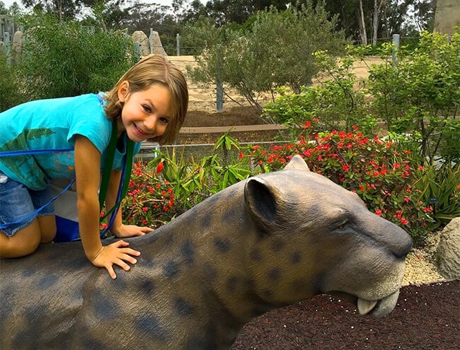 vann_on_a_tiger_san_diego_zoo