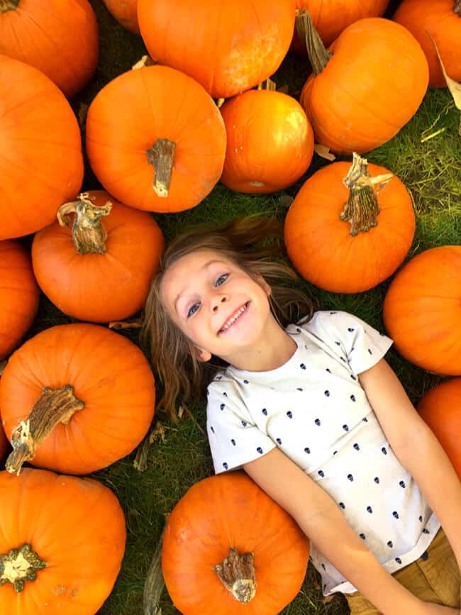 Irvine Park Railroad Pumpkin Patch