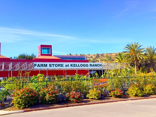 cal-poly-pomona-farm-store-nursery