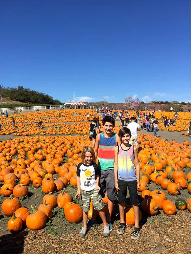 cal-poly-pomona-pumpkin-festival-in-october