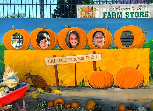 cal-poly-pomona-pumpkin-patch-photo-backdrop