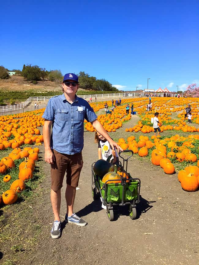 cal-poly-pomona-pumpkin-patch-tips