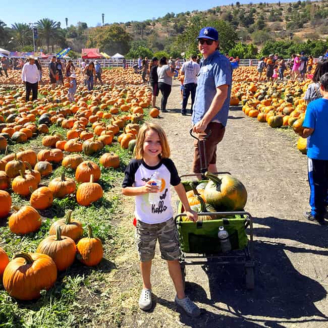 cal-poly-pomona-pumpkin-patch-wagon