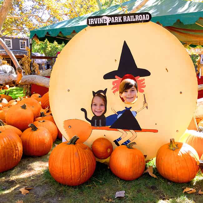 Irvine Park Railroad Pumpkin Patch Cute Photo Backdrops