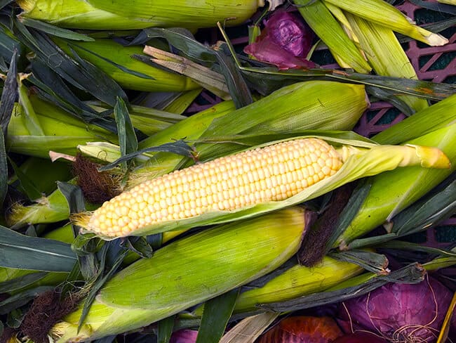 farmers-market-corn