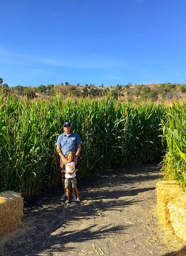 fun-corn-mazes-in-southern-california