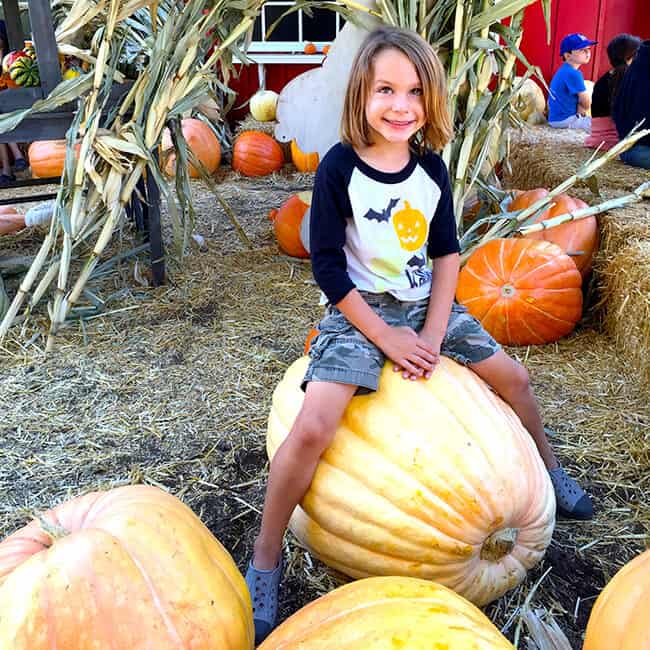 giant-pumpkins-at-the-pomona-pumpkin-patch