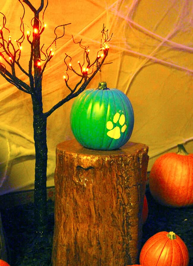 great_wolf_lodge_teal_pumpkin