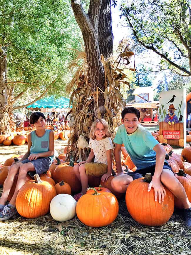 Irvine Park Railroad Pumpkin Patch