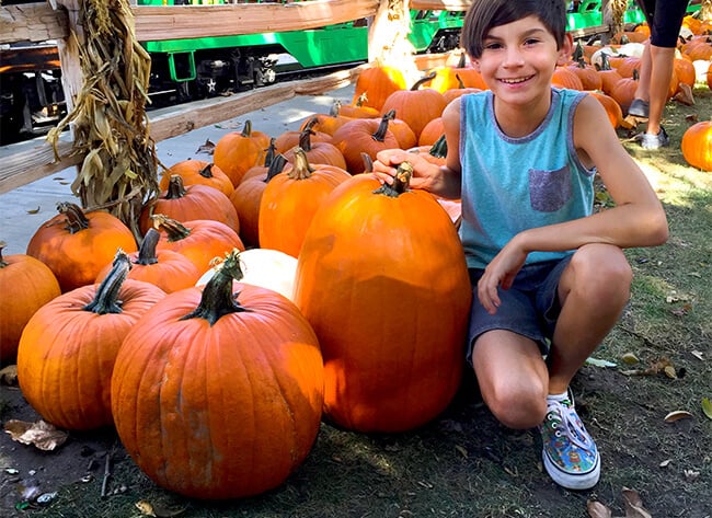 Irvine Park Railroad Pumpkin Patch Train