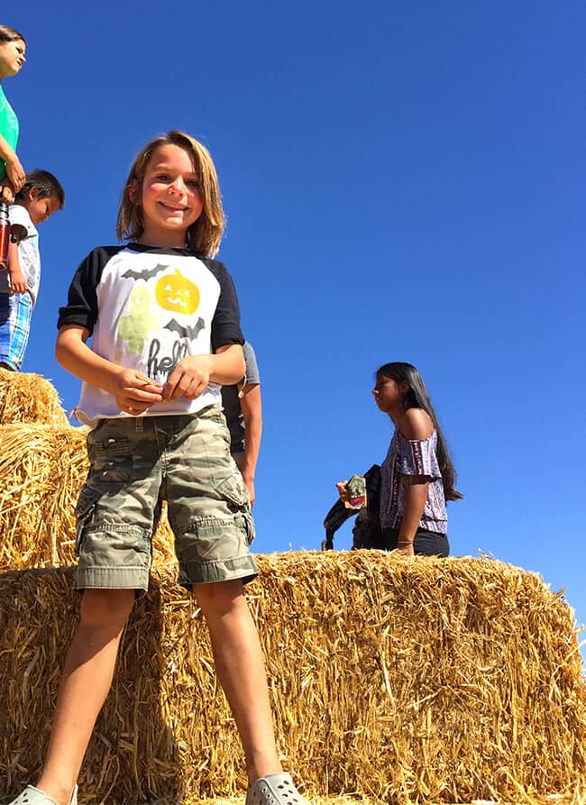 playing-in-the-hay