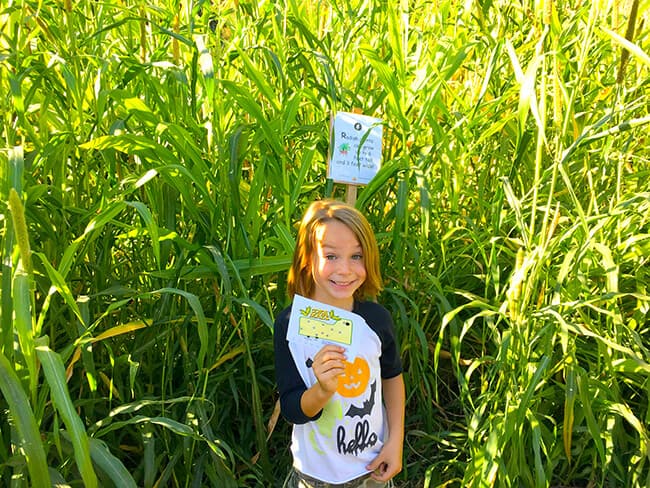 playing-in-the-pomona-corn-maze