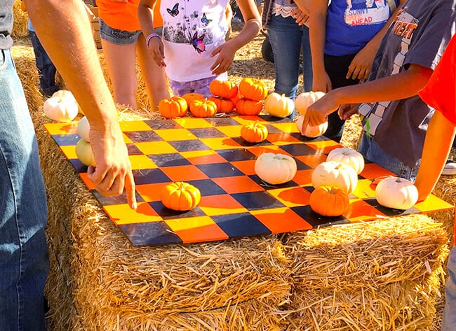 Pumpkin Fest at the Cal Poly Pumpkin Patch 2022 - Popsicle Blog