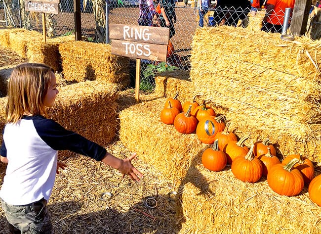 pumpkin-patch-ring-toss