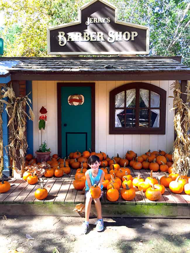 Irvine Park Railroad Pumpkin Patch Field Trips