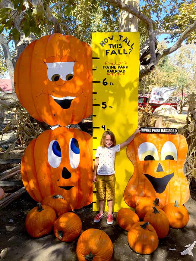 Irvine Park Railroad Pumpkin Patch How Tall Are You