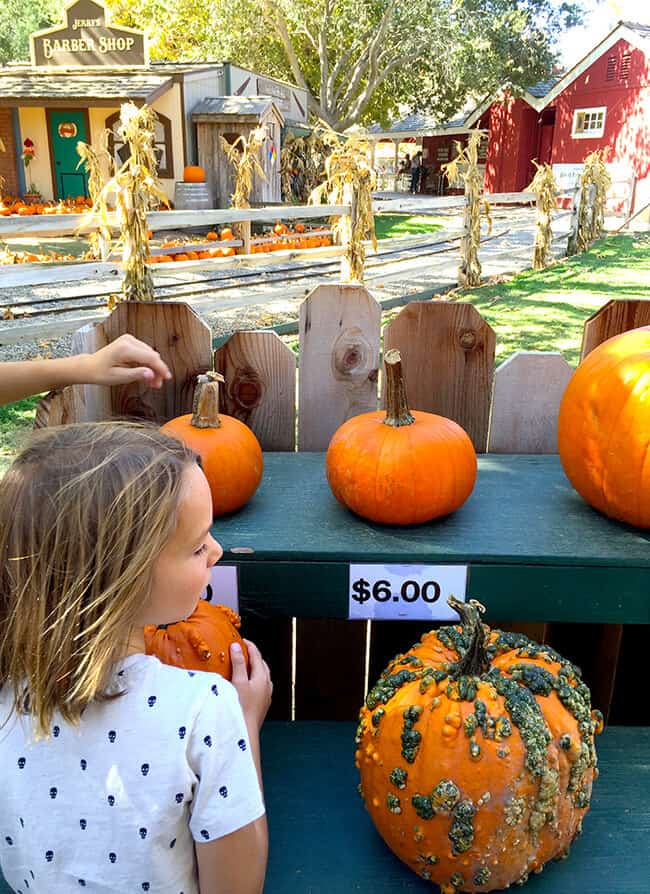 Irvine Park Railroad Pumpkin Patch Pricing