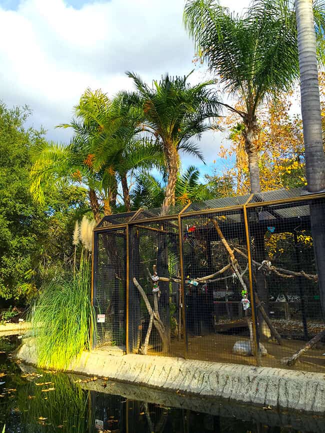 bird-cages-at-rancho-las-lomas