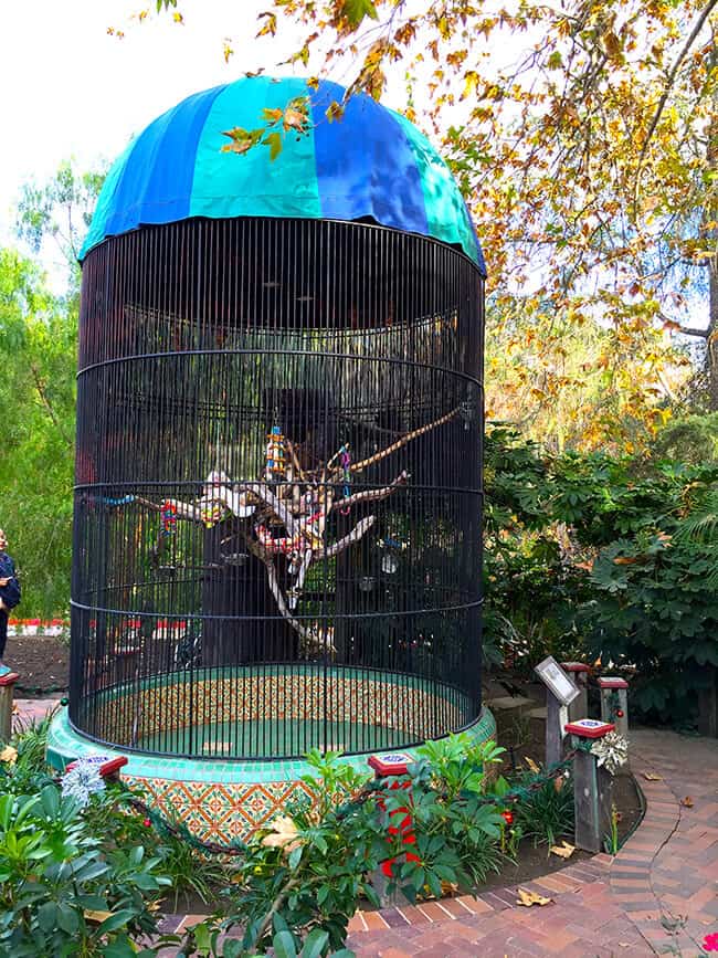 birds-at-rancho-las-lomas