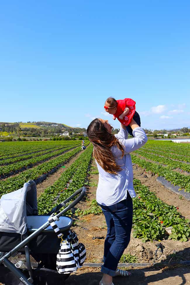 Strawberry Picking in San Juan Capistrano