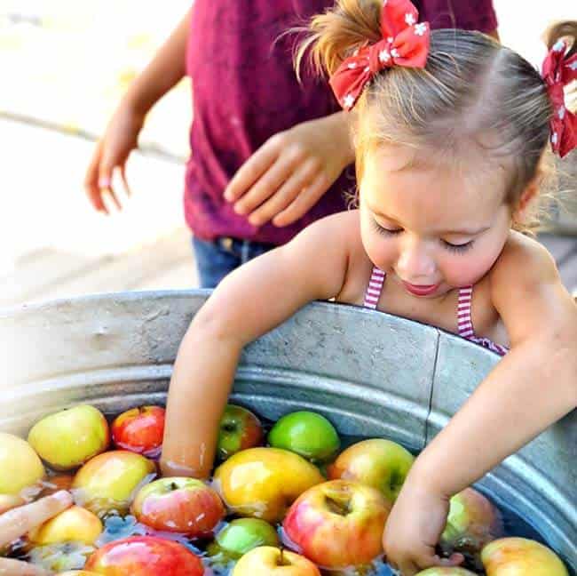 organic, pesticide free, apples, oak glehttn, local, fresh picked