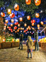 Pumpkin Nights Halloween Experience in Southern California - Popsicle Blog