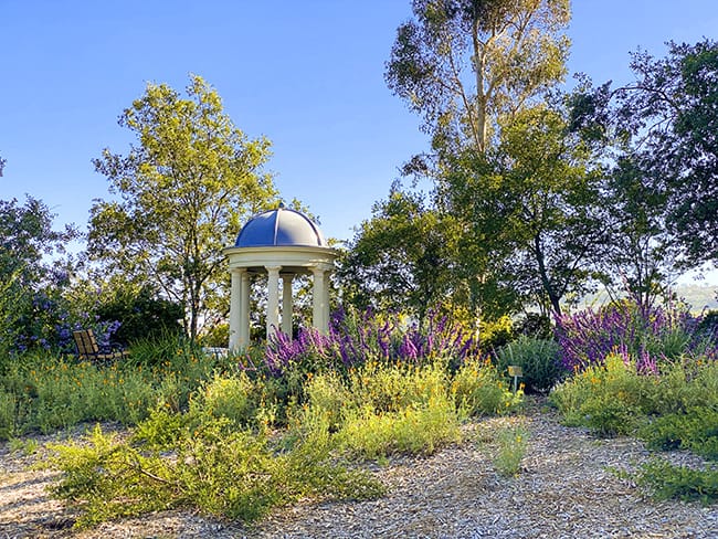 Niguel Botanical Preserve Weddings