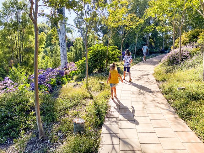 Niguel Botanical Preserve in Laguna Niguel