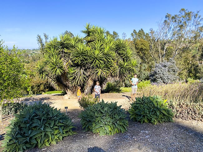 Niguel Botanical Preserve Pathways