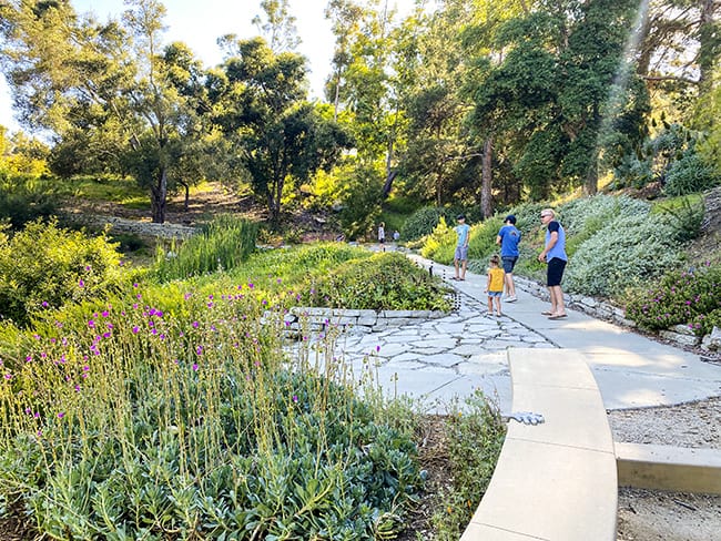 Niguel Botanical Preserve Trails