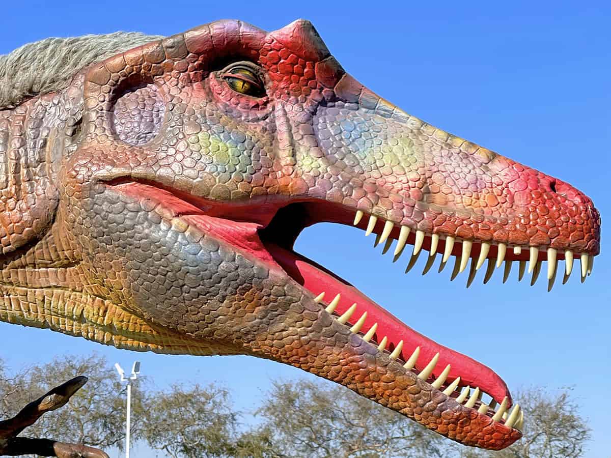 the jurassic quest