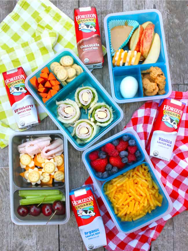 Easy and Fun Lunch Box Ideas Popsicle Blog