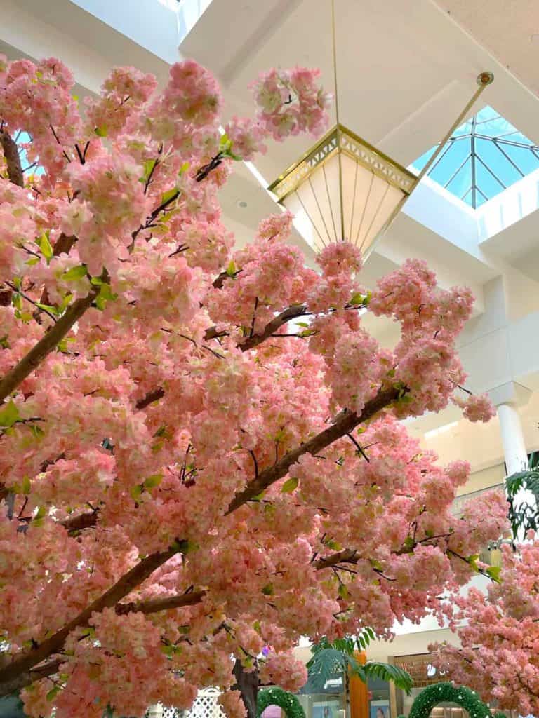 Springtime at South Coast Plaza - Popsicle Blog