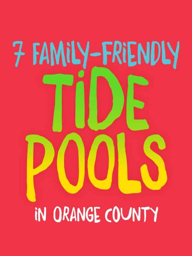 Your Guide to Orange County Fun Popsicle Blog