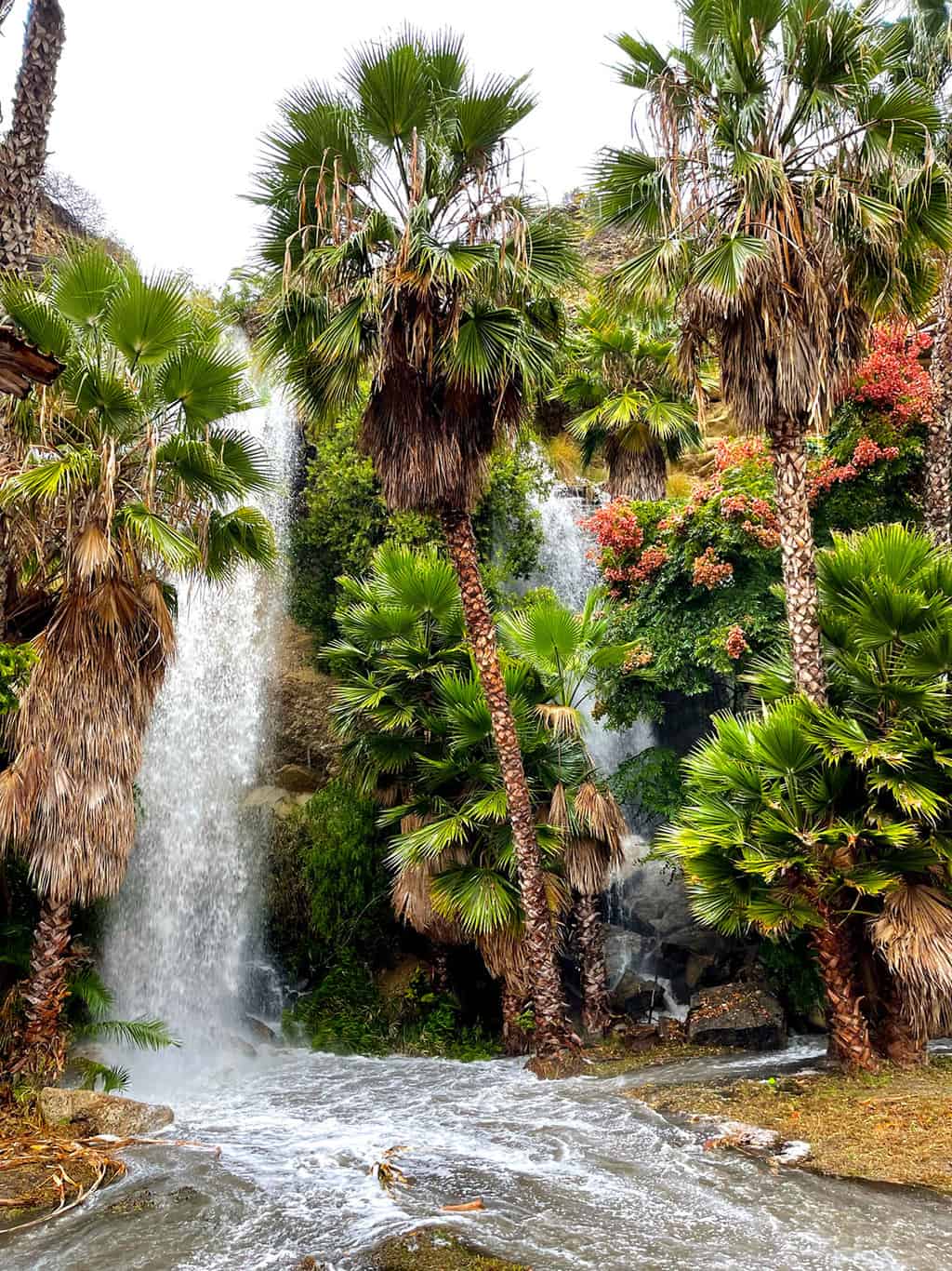 The Secret Dana Point Waterfall Popsicle Blog