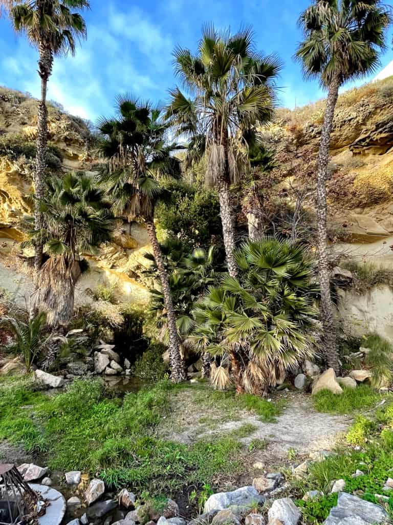 The Dana Point Waterfall