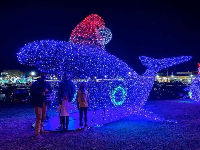 Dana Point Christmas Lights 2026