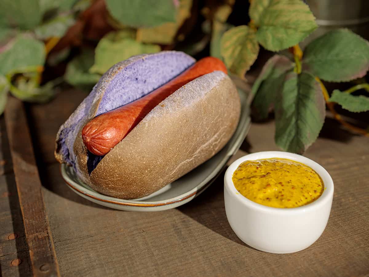 Knott's Boysenberry Festival Foods (2022) Popsicle Blog