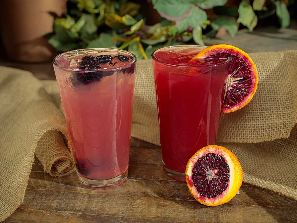 Knott's Boysenberry Festival Foods (2022) Popsicle Blog