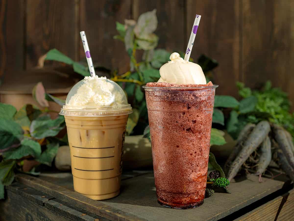 Knott's Boysenberry Festival Foods (2022) Popsicle Blog