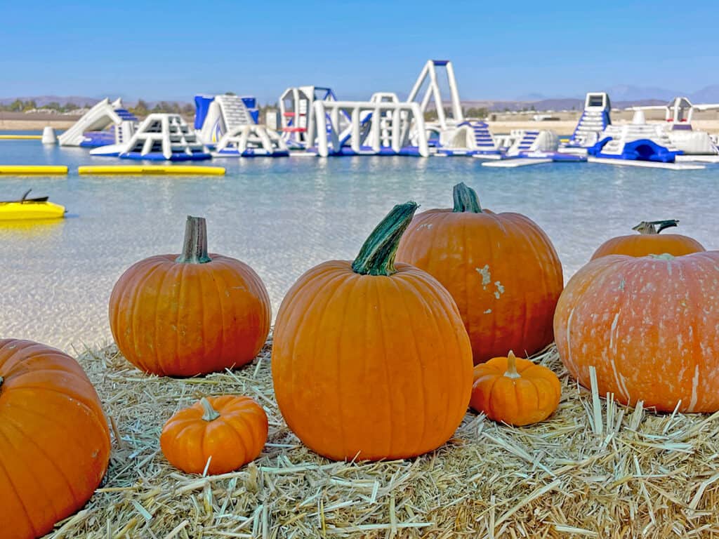 19 Pumpkin Patches in Orange County (2023) Popsicle Blog